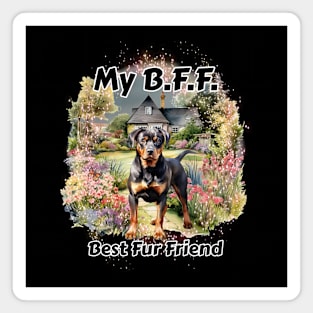 Dog - B.F.F. Rottweiler Magnet